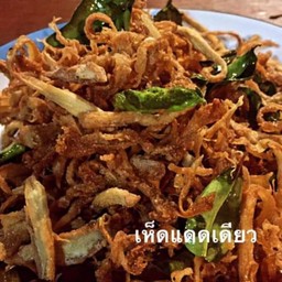 เห็ดแดดเดียว