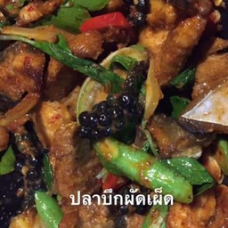 ผัดเผ็ดปลาบึก