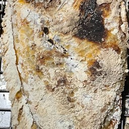 เมี่ยงปลาทับทิม