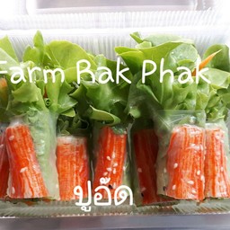สลัดฟาร์มรักผัก@ทุ่งปอ