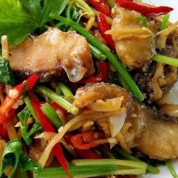 ปลาช่อนทอดผัดใบตั้งโอ๋ -เป็นกับข้าว