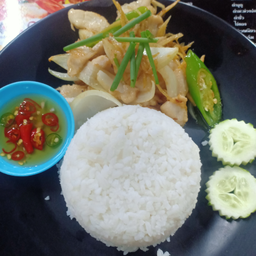 ข้าวราดผัดขิงไก่