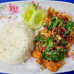 ข้าวกระเพราไก่ทอดกร๊อบกรอบ
