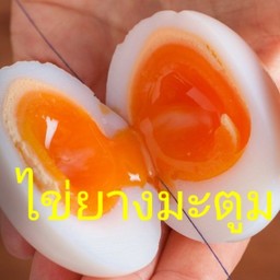 ไข่ยางมะตูม