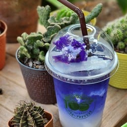 มะพร้าวอัญชัน