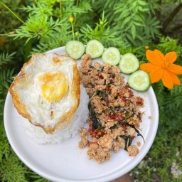ข้าวกะเพรา โคตรกะเพรา  กำแพงเพชร