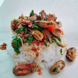 ข้าวกะเพราหอยแมลงภู่