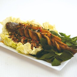 ปลาช่อนน้ำตก