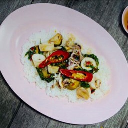 ข้าวกะเพราปลาหมึก