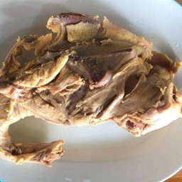 โครงไก่