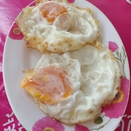 ไข่ดาว