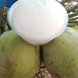 มะพร้าวน้ำหอมอัมพวาแท้(หน้าแมคโคร)