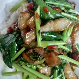 ข้าวผักคะน้า