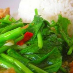 ผัดคะน้าราดข้าว