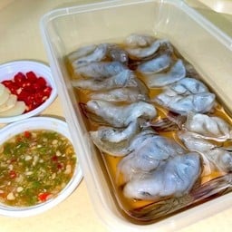 ดอง ดอง