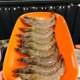 กุ้ง
