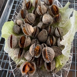 หอยแครงเผา