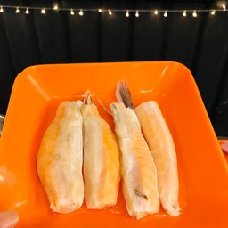 ท้องปลาแซลม่อน