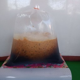 เหมียวกาแฟโบราณ