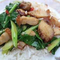 ข้าวราดคะน้าหมูกรอบ