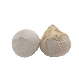 มะพร้าวเผา