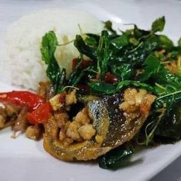 ข้าวกระเพราไข่เยี่ยวม้า