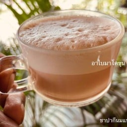 ชาปากีนมแพะภูเขา(อุ่น)
