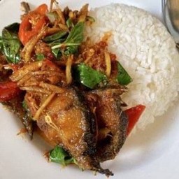 ผัดพริกแกงปลาดุกราดข้าว(RBH 60B.)