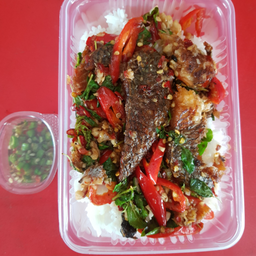 อาหารตามสั่ง น้องใหม่