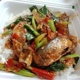 ผัดคะน้าราดข้าว