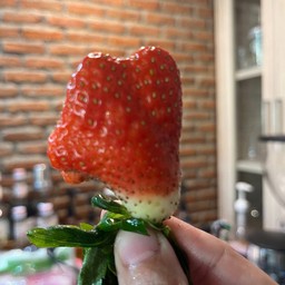ชานมไข่มุก 29 บาท ชานมไต้หวันอ่อนนุช66