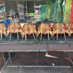 ต่ายกะแพทไก่ย่างวิเชียรบุรี ไร่กล้วย หน้าหอพักป้าสาลี่