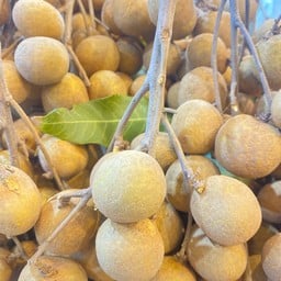 ลำไย 1 กิโลกรัม