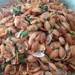 ร้านป้ากบหอยลายผัดฉ่าเจ้าเดิม สาขา1