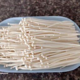 เห็ดเข็มทอง
