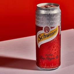 Ginger Ale 33cl Can