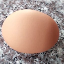 ไข่ไก่
