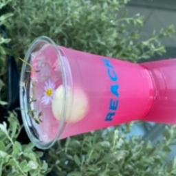 MENU_2071910MI_1674721252