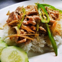 ผัดขิงราดข้าว