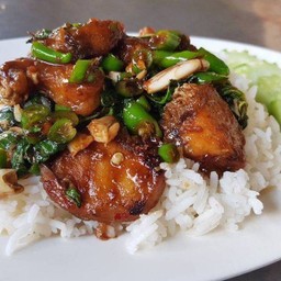 กระเพราปลากระพงราดข้าว