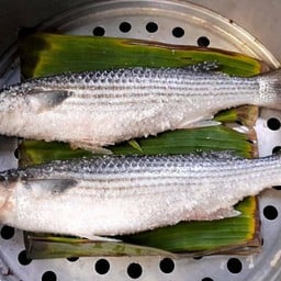 ปลากระบอกจีน