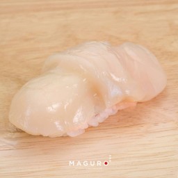 Hotate Sushi - ซูชิหอยเชลล์