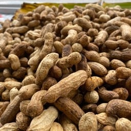 ลูกชิน ป.ปลา เกาะหมี