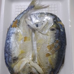 ปลาทู สด  (ใหญ่)