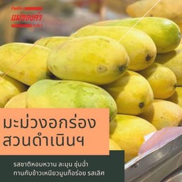 มะม่วงอกร่อง 1 กก.(ตามฤดูกาล)