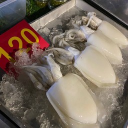 นายมิกหมึกย่าง