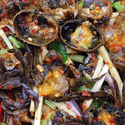 มะม่วงปูจืด 4 ตัว