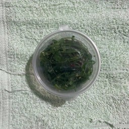 ก๋วยจั๊บ-กระเพาะปลาเจ๊ญา คลองชล