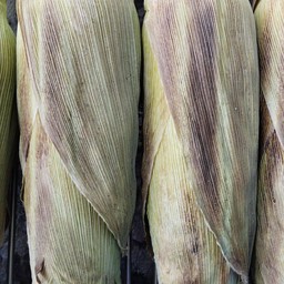 ข้าวโพดปิ้ง  2 ฝัก