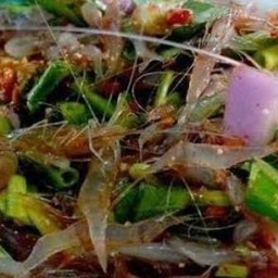 ยำกุ้งเต้น